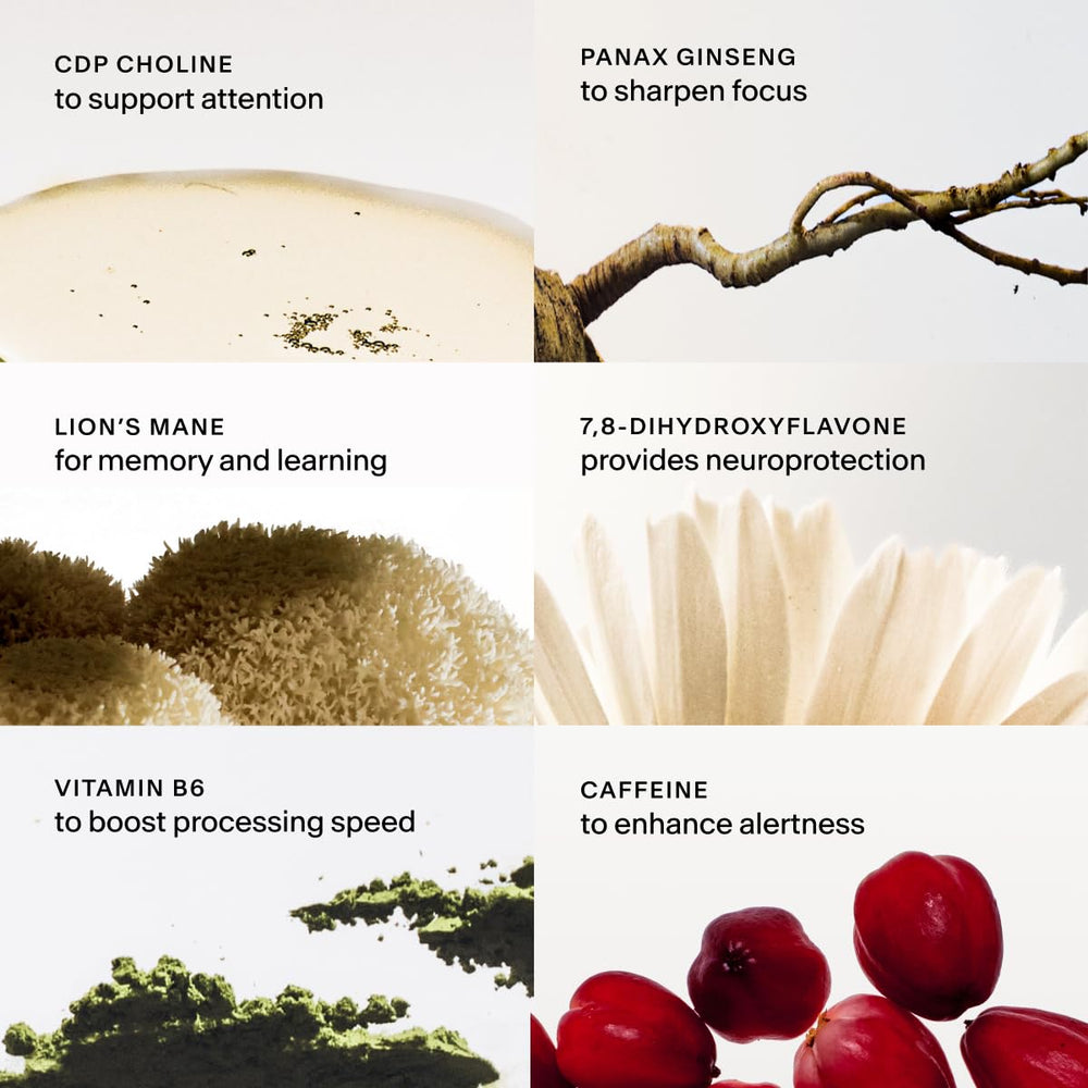 THESIS Clarity ingredients label featuring Lion’s Mane and CDP Choline