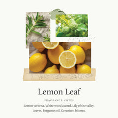 Thymes Lemon Leaf refill bottle provides fresh uplifting citrus notes