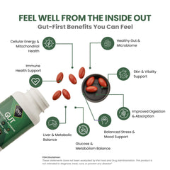 ThymoQuin advanced formula with bioavailable black seed oil visual.