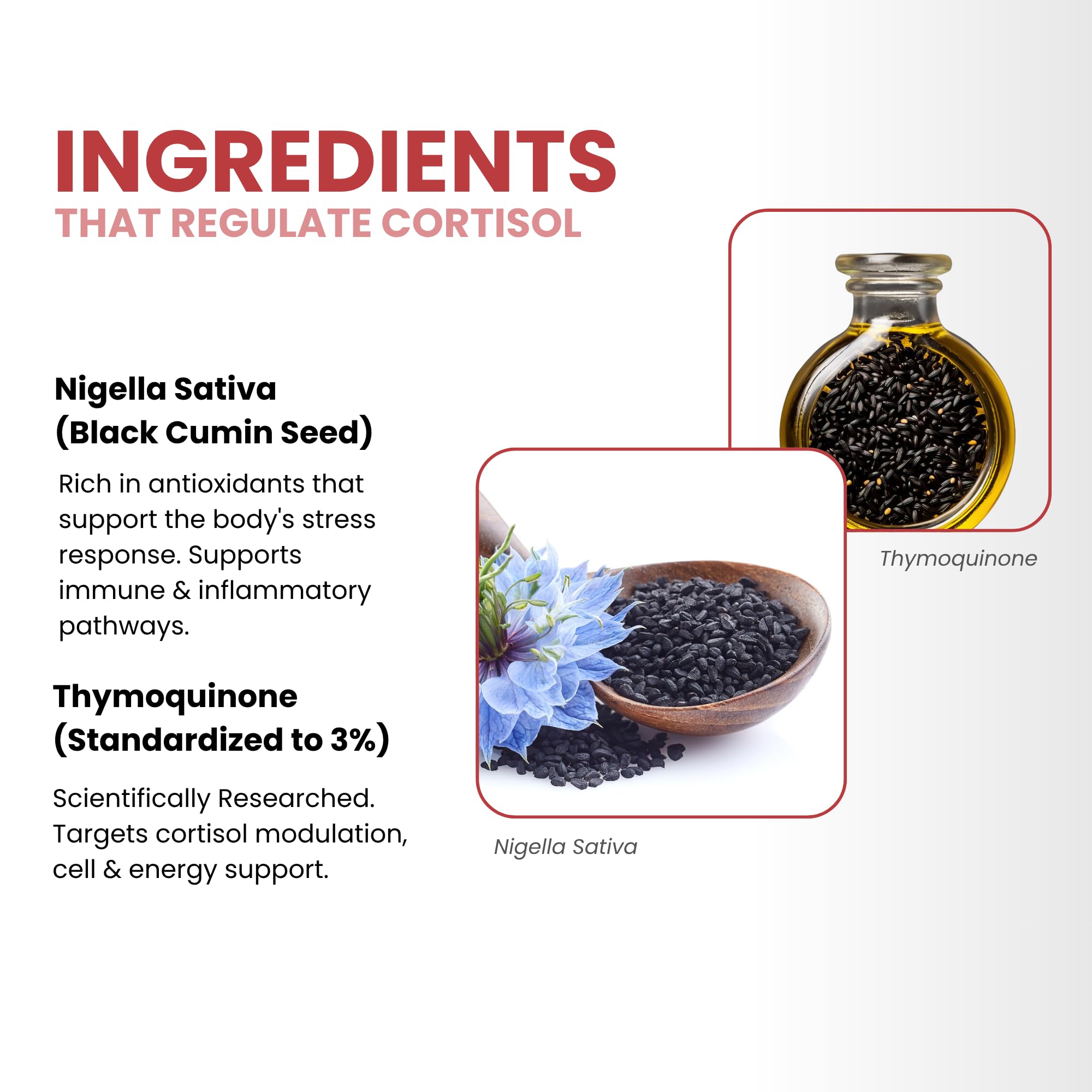 Sleek packaging visuals suggesting premium cortisol support supplement