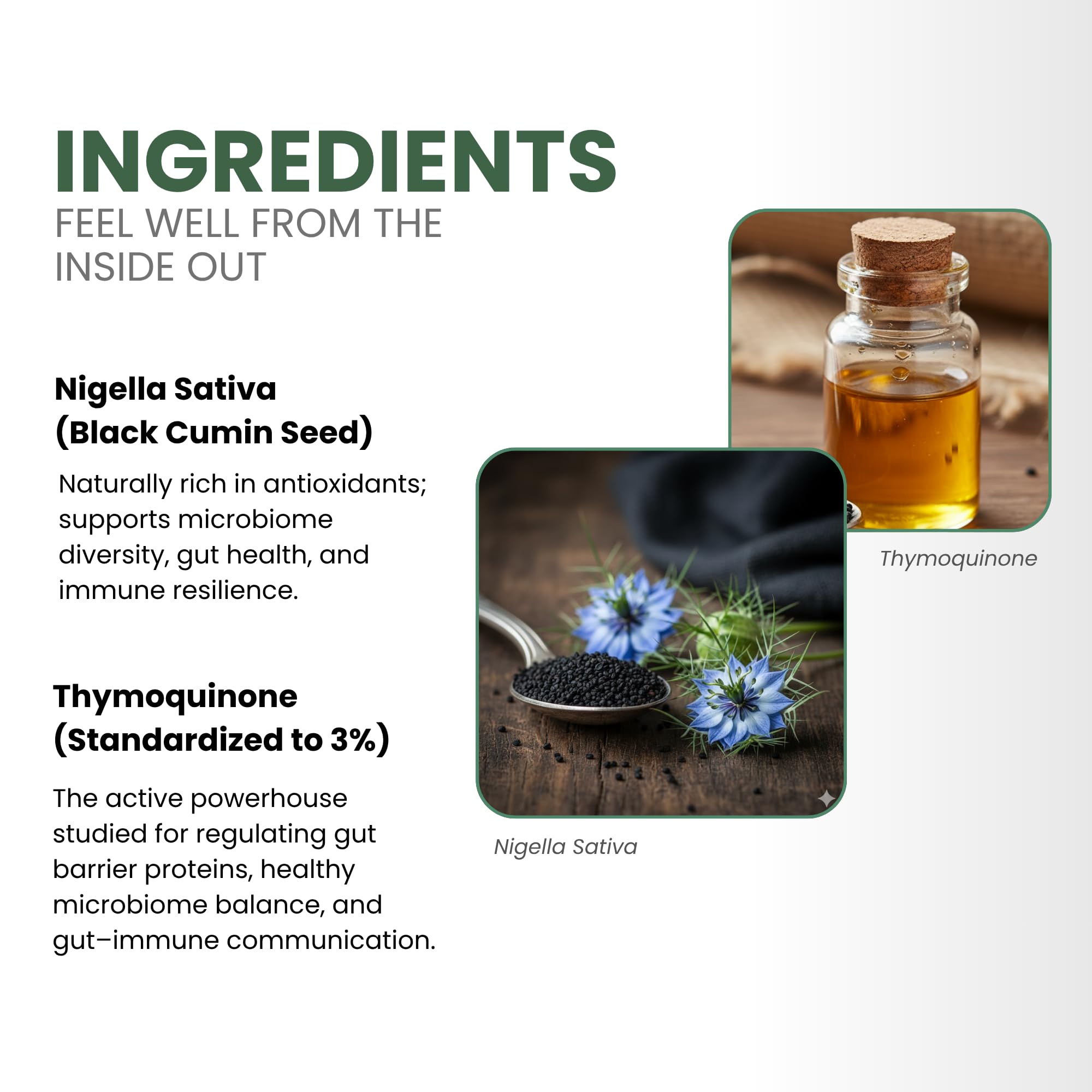 ThymoQuin ingredients graphic highlighting black seed oil.