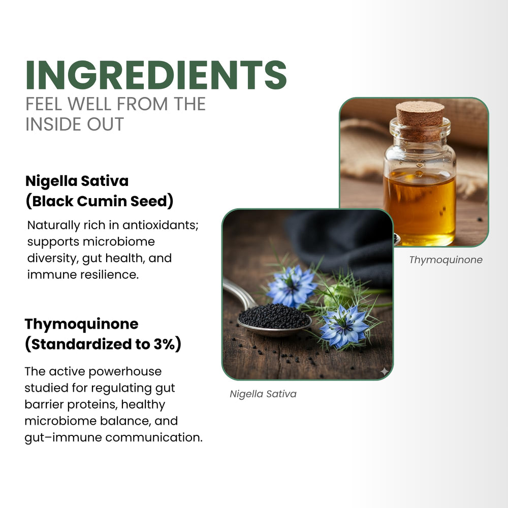 ThymoQuin ingredients graphic highlighting black seed oil.