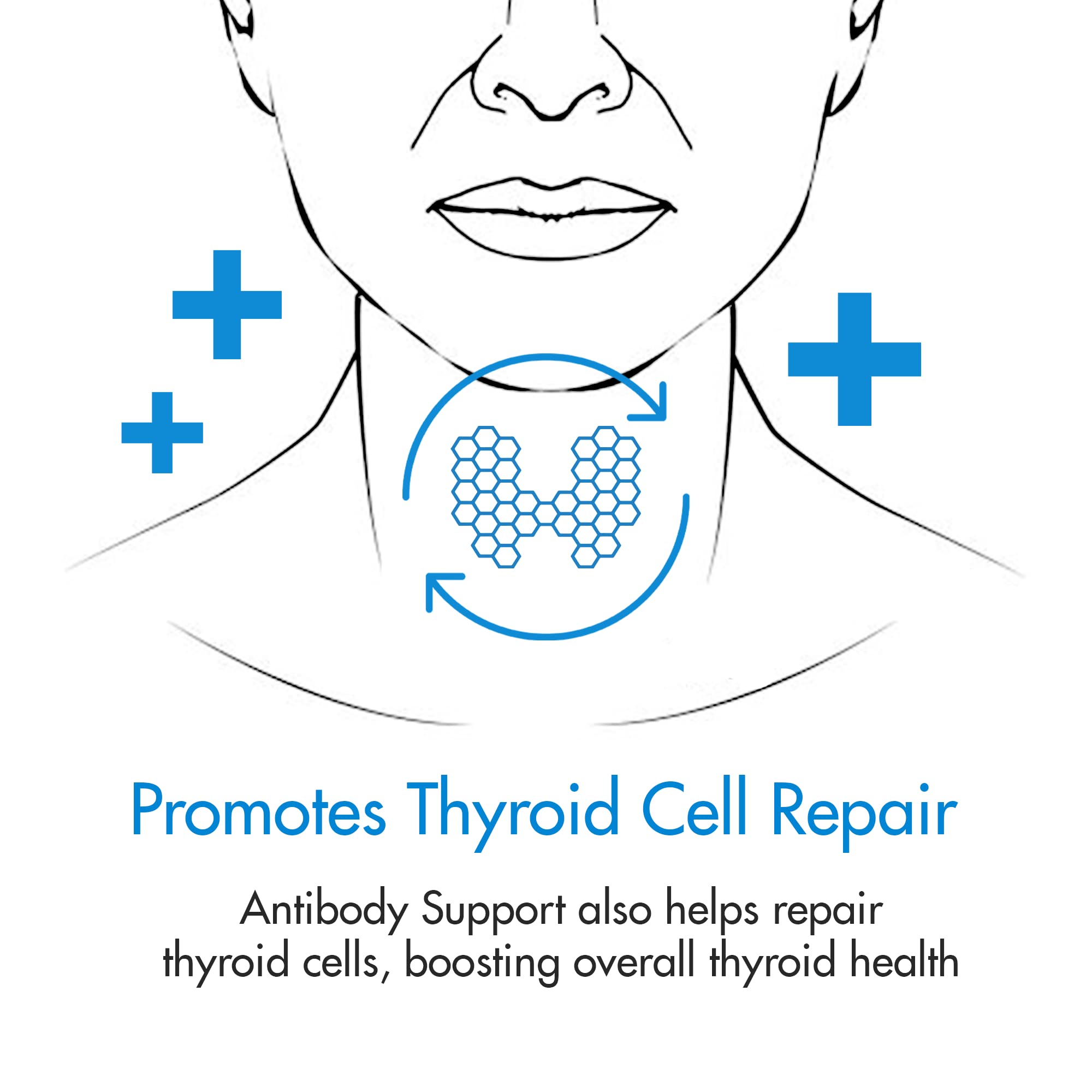 Thyroid Specific Formulations Antibody Support front-panel shot emphasizes brand heritage