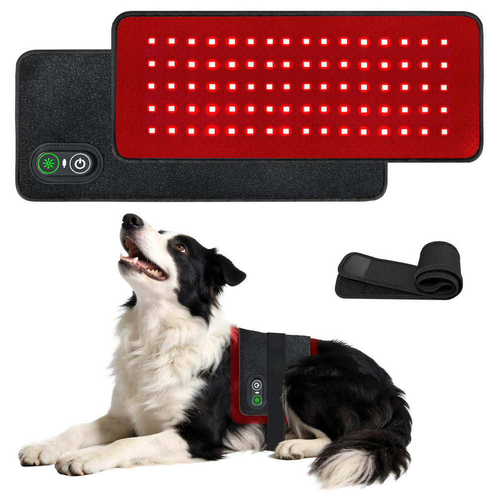 tidytech Pets red light therapy belt front view for easy in-home pet relief.