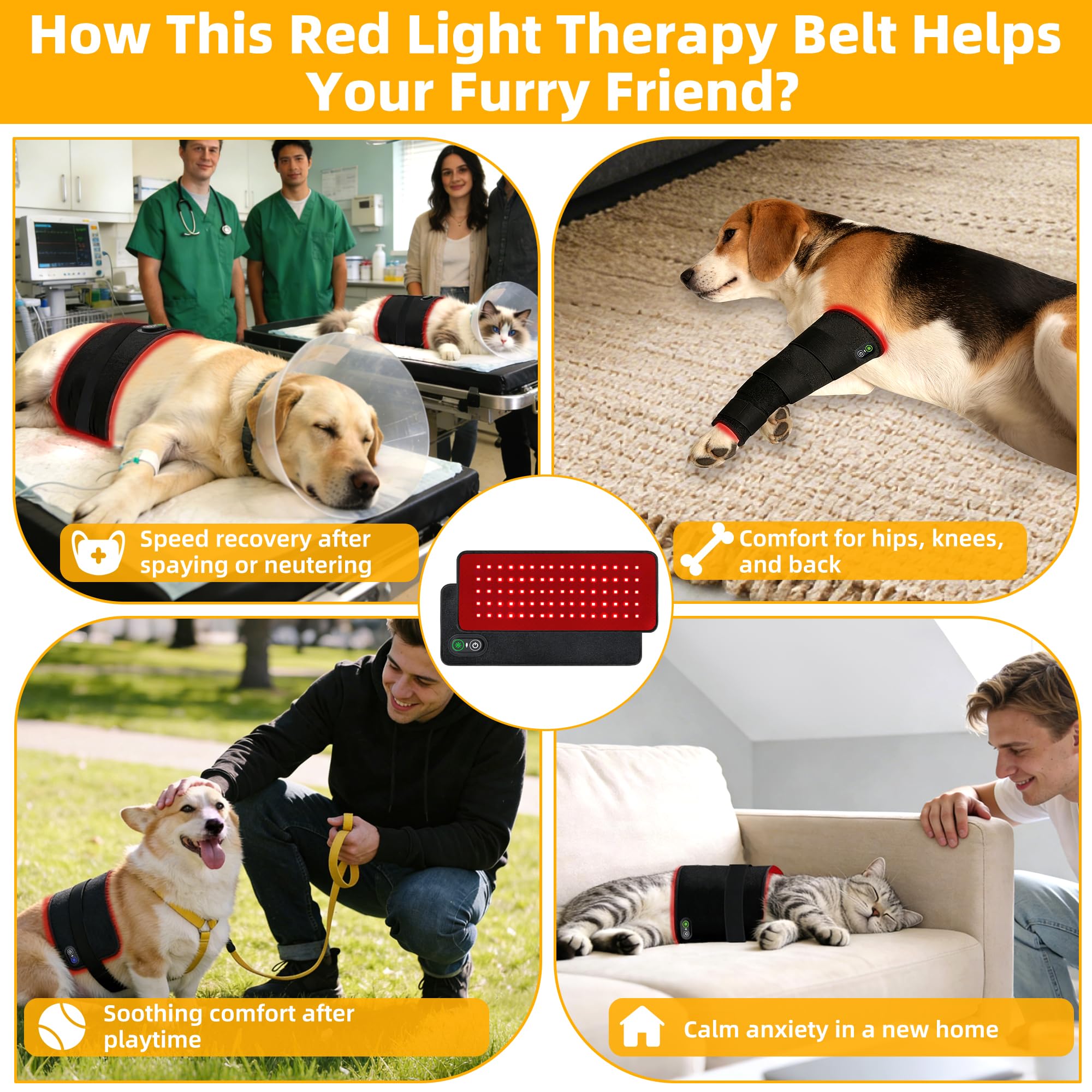 tidytech Pets red light therapy belt on cat provides gentle post-activity relaxation.