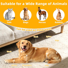 tidytech Pets red light therapy belt on dog demonstrates cordless session for daily recovery.