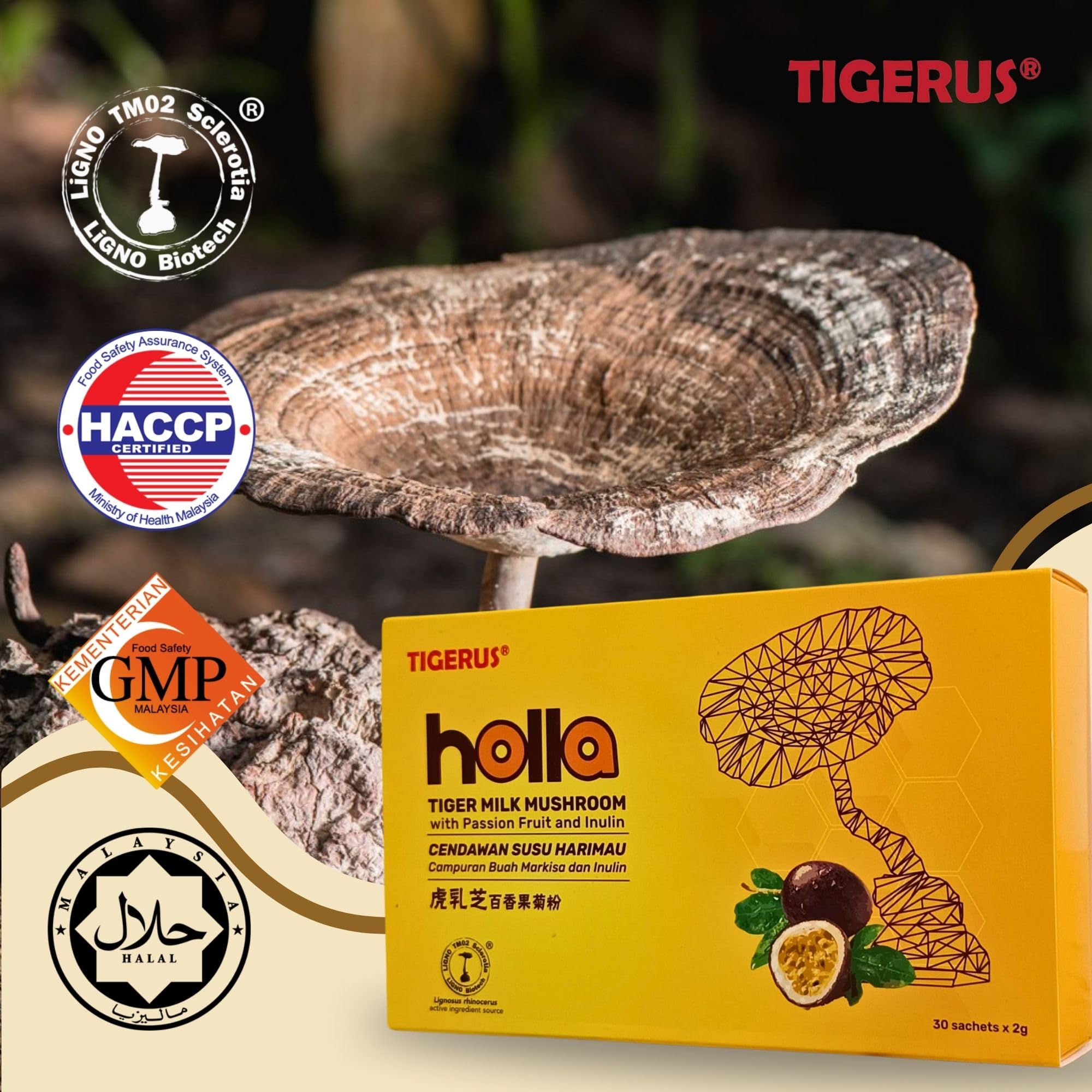 Ingredients panel on Tigerus Holla Tiger Milk Mushroom packaging.