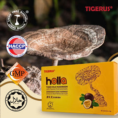 Ingredients panel on Tigerus Holla Tiger Milk Mushroom packaging.