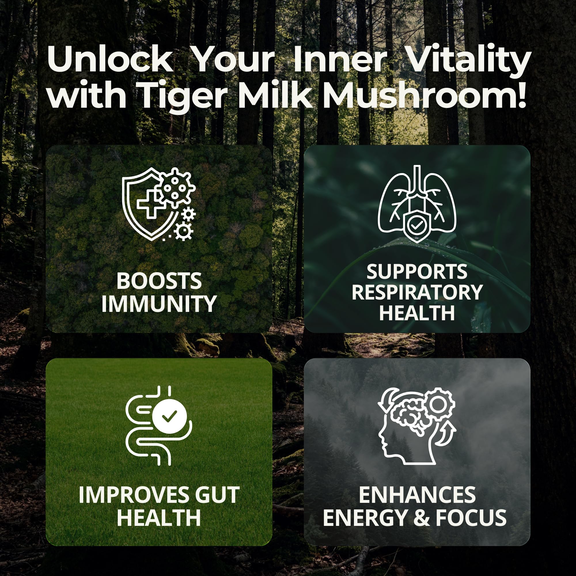 TIGERUS packaging image emphasizes plant-powered supplement for daily vitality.