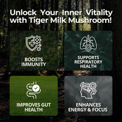 TIGERUS packaging image emphasizes plant-powered supplement for daily vitality.