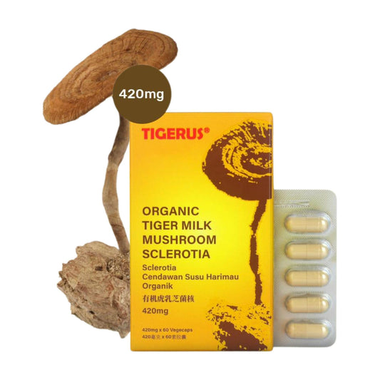 TIGERUS Tiger Milk Mushroom vegecaps ready to swallow for immune balance support.