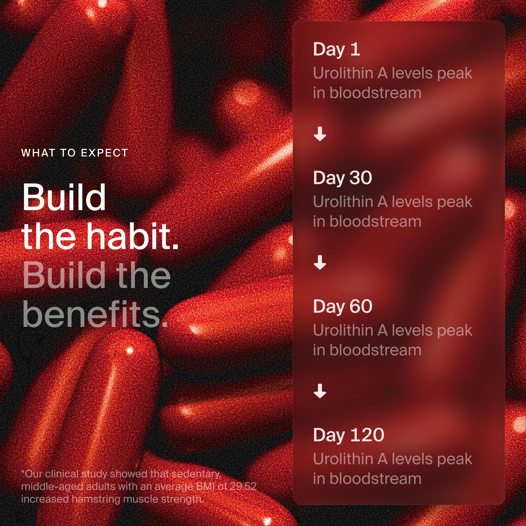 Timeline Mitopure softgels capsules in hand for daily energy and recovery.