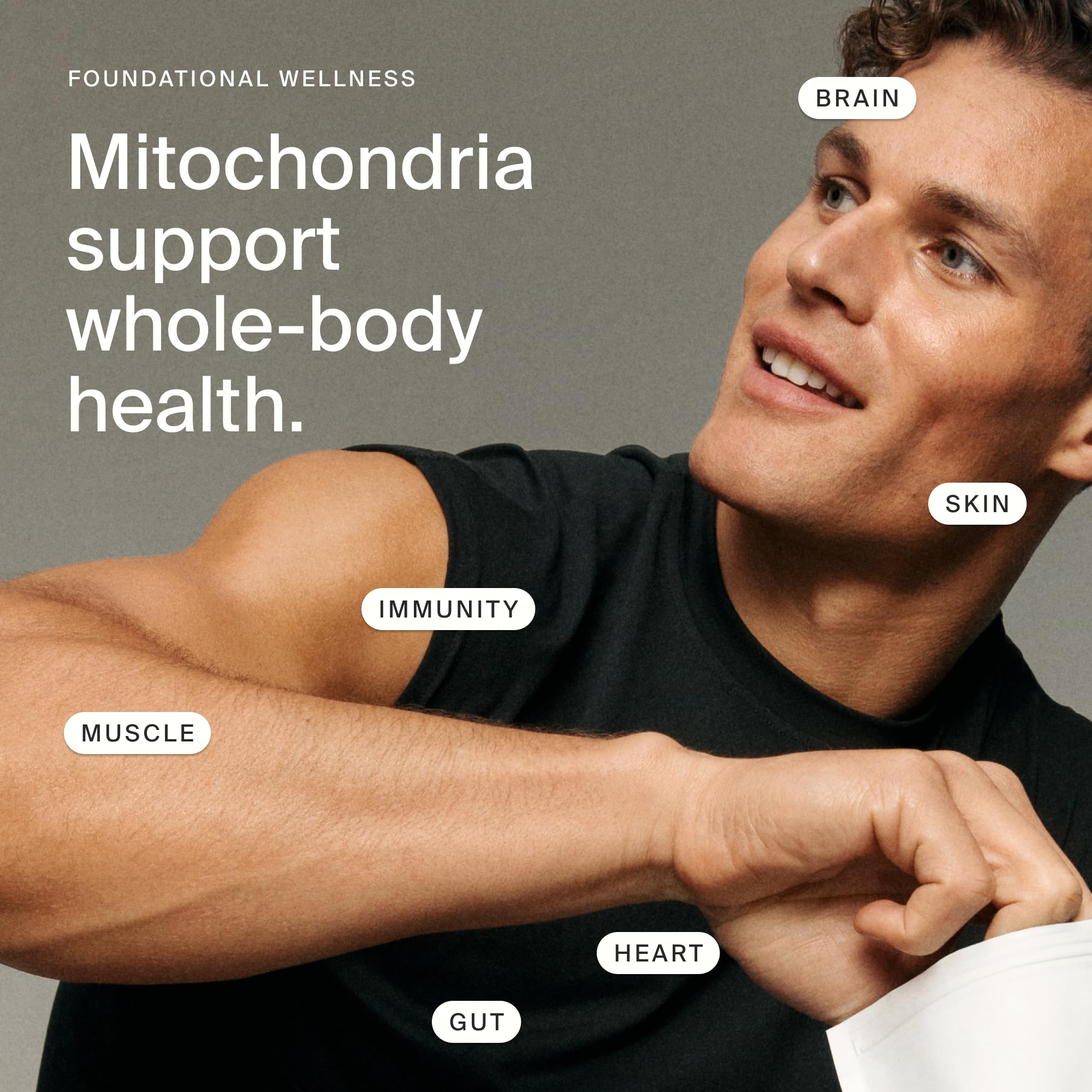 Timeline Mitopure softgels ingredients label emphasizing purity and potency.