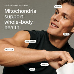 Timeline Mitopure softgels ingredients label emphasizing purity and potency.