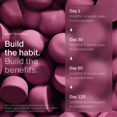 Timeline Mitopure Urolithin A Gummies bottle on shelf for convenient daily use.