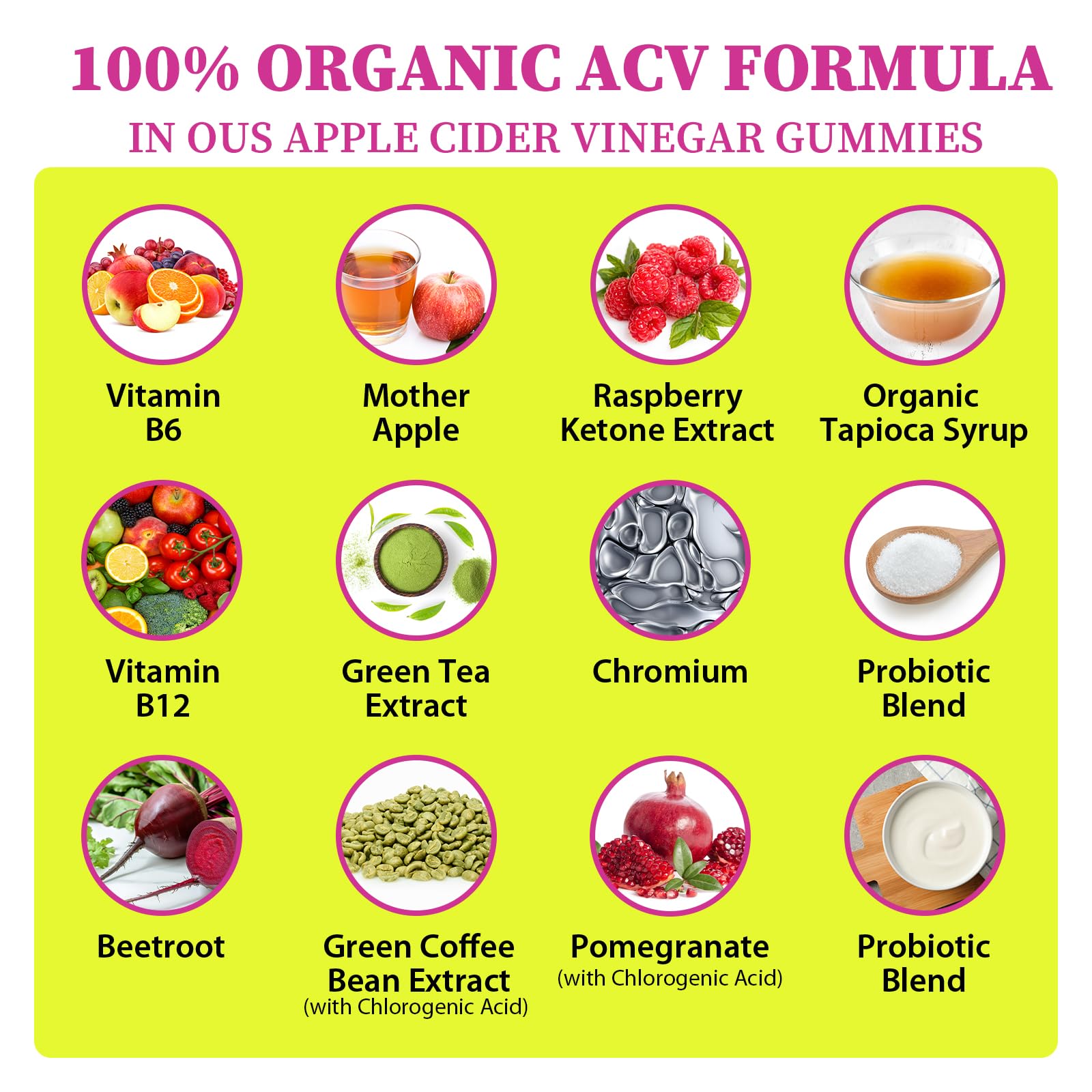 Tisestence gummies with beet powder visual emphasizes detox-friendly cleanse routine.