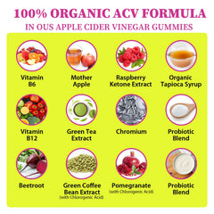 Tisestence gummies with beet powder visual emphasizes detox-friendly cleanse routine.