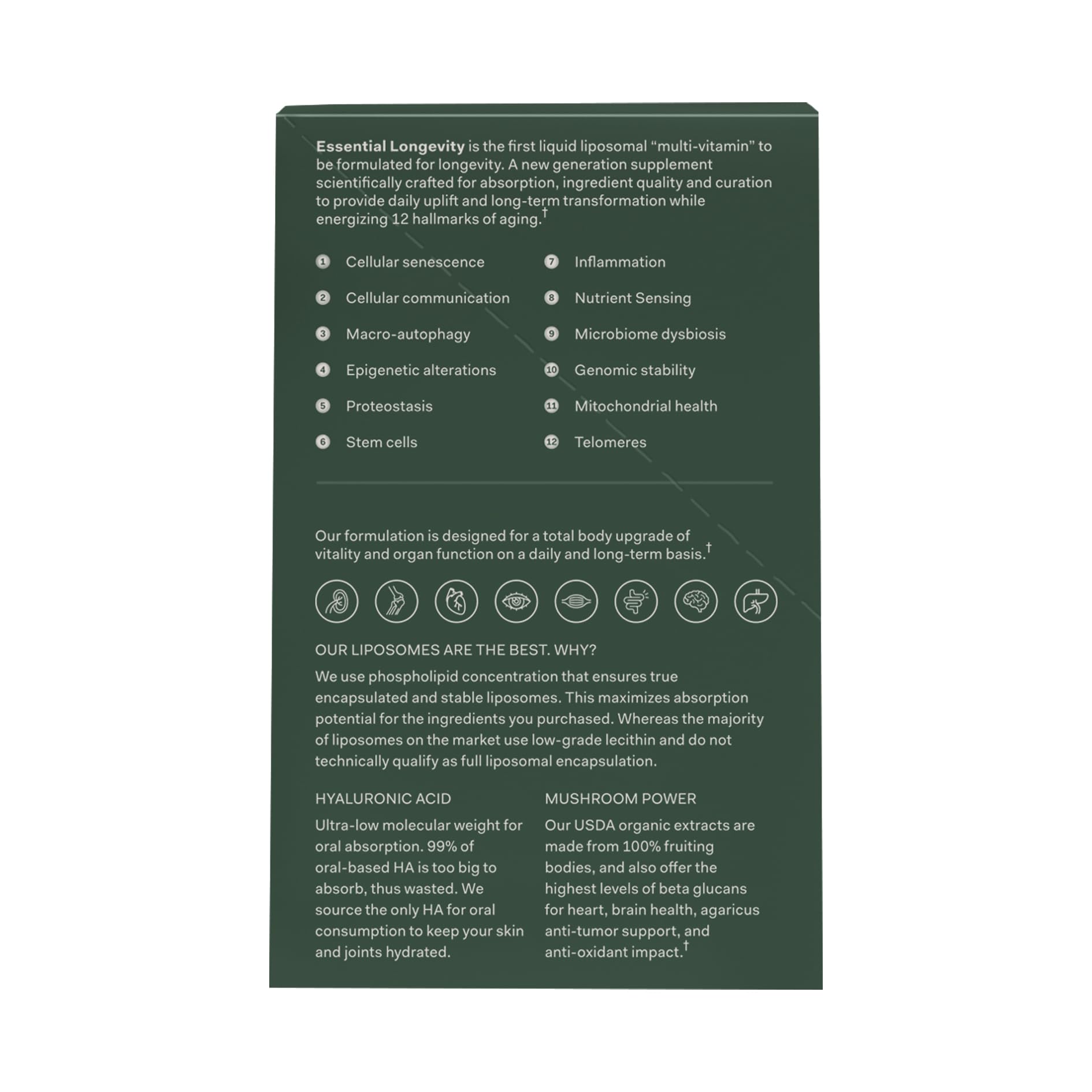 TMW Essential Longevity magnesium glycinate liposomal blend for everyday vitality.