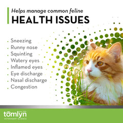 TOMLYN 4-pack box for ongoing feline immune and respiratory support.