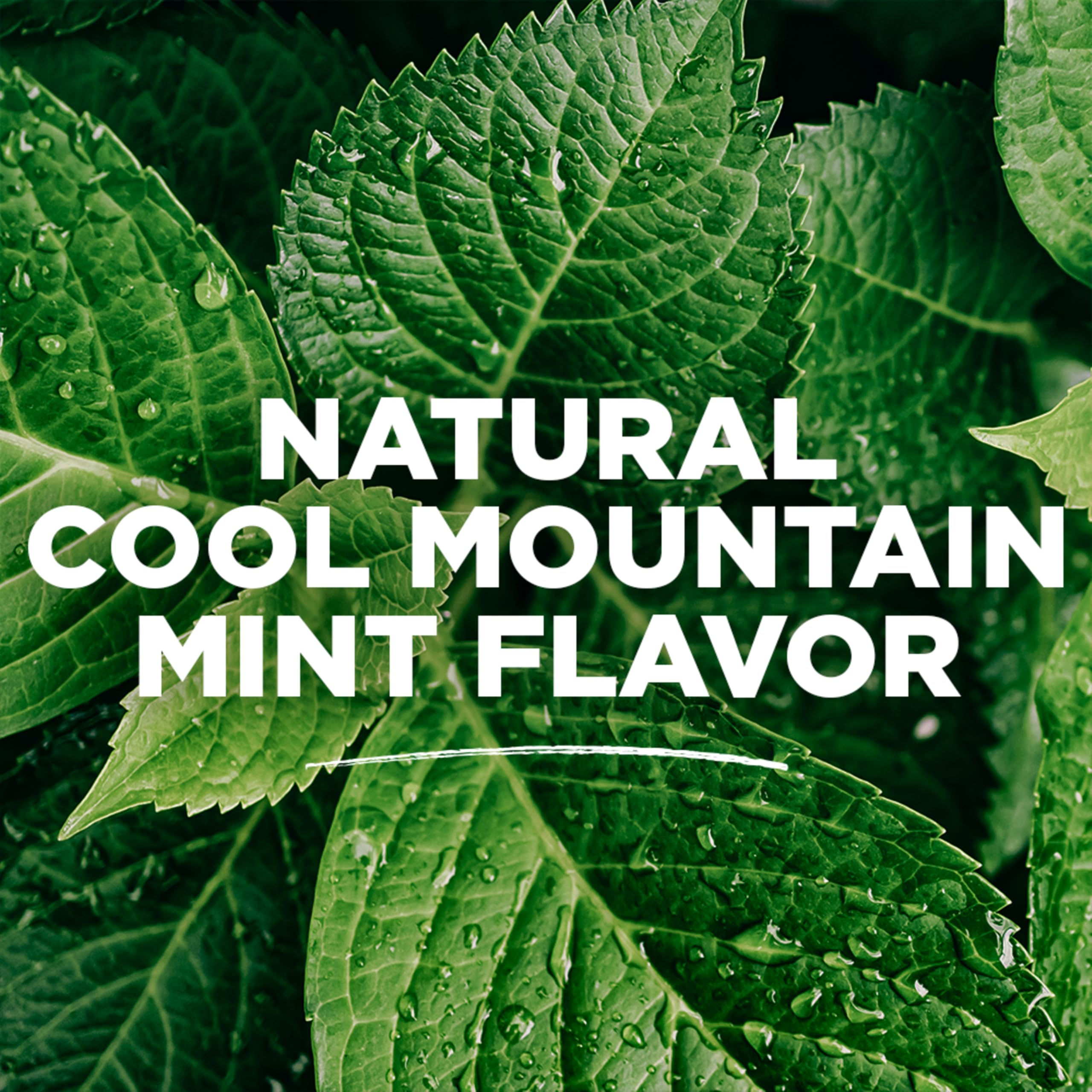 Cruelty-free logo and natural ingredients on packaging
