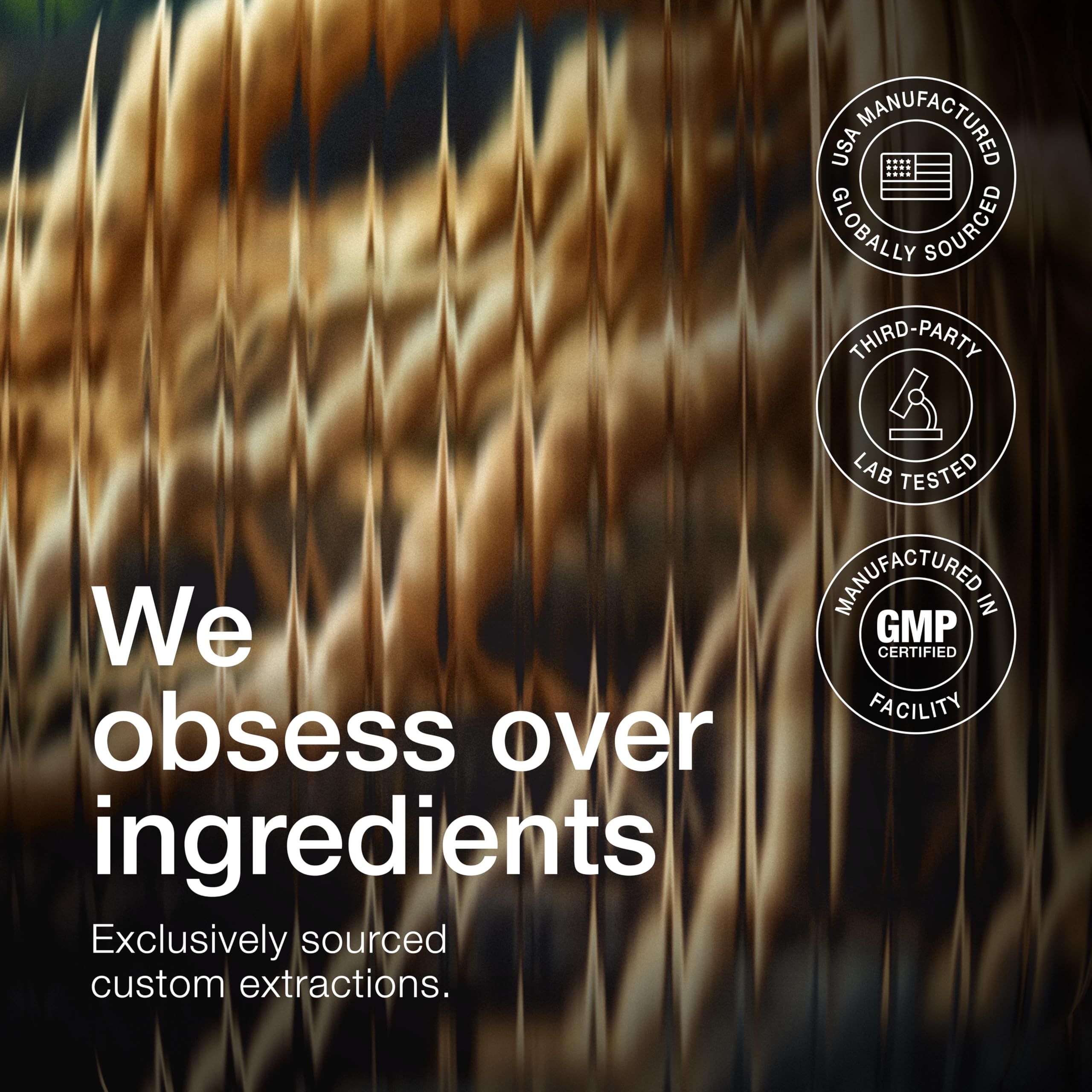 Toniiq Ashwagandha wild-harvest field in India showcases natural sourcing.
