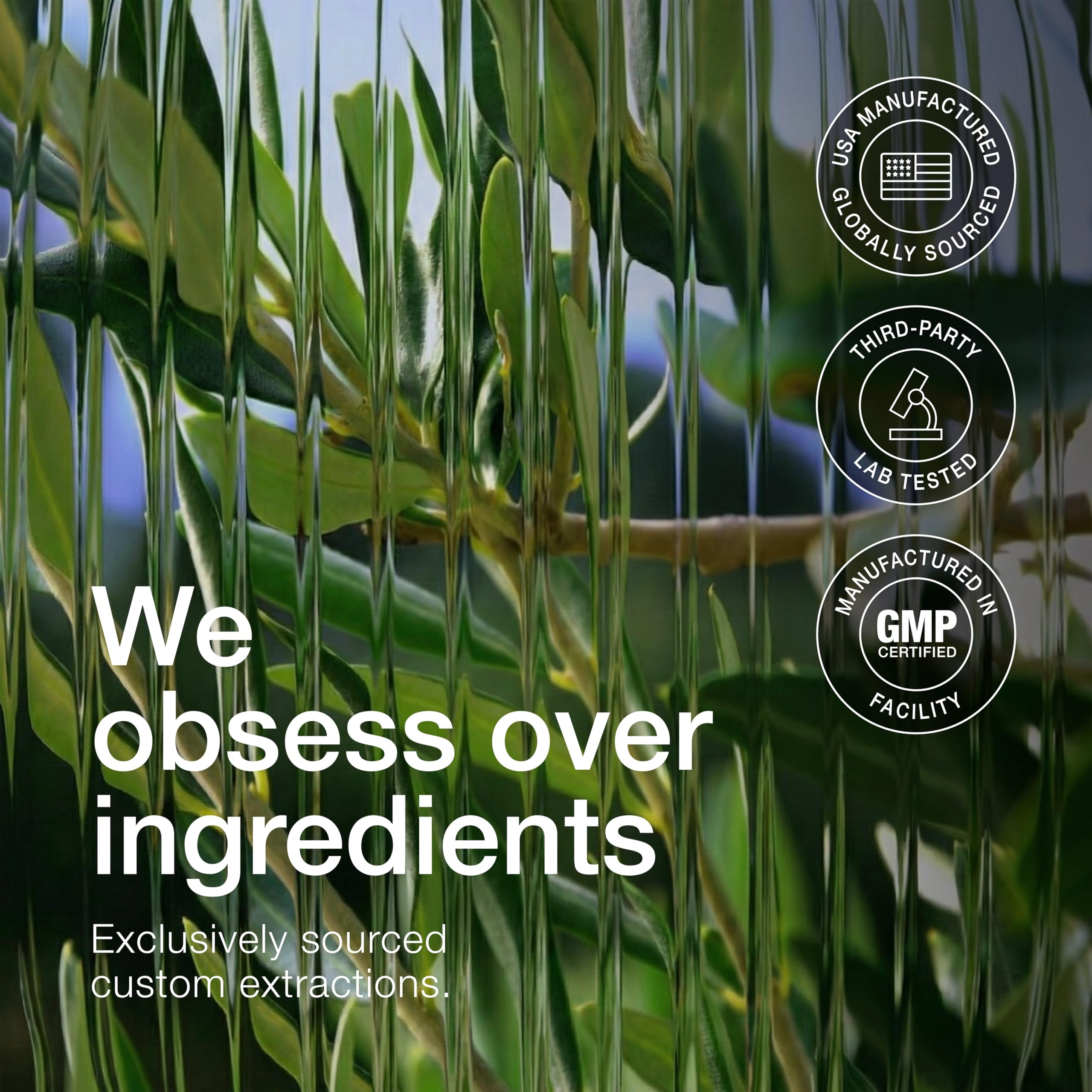 Toniiq GMP-certified facility seal communicates consistent manufacturing standards.