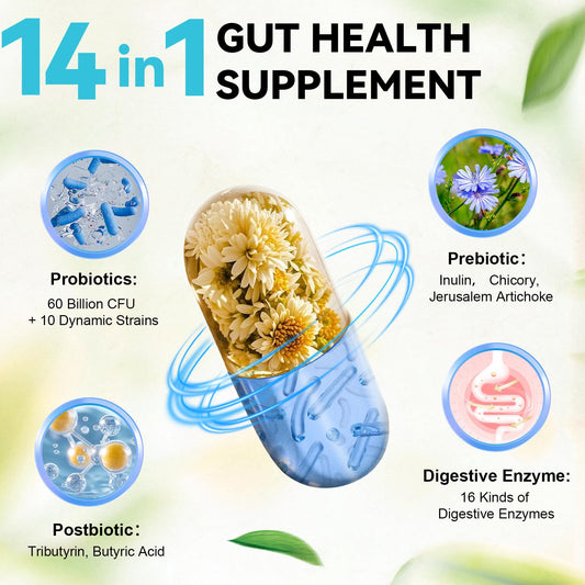 Totaria 60b CFU probiotics capsules emphasize probiotic strength for balanced digestion.
