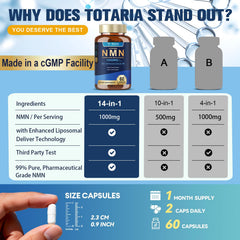 Totaria bottle on shelf with warm lighting conveys shelf-stable NAD+ support.