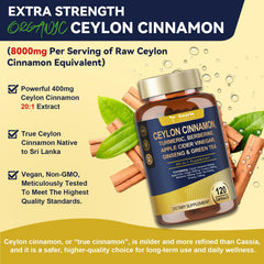 Totaria vegan capsules close-up showing easy-to-swallow pills.