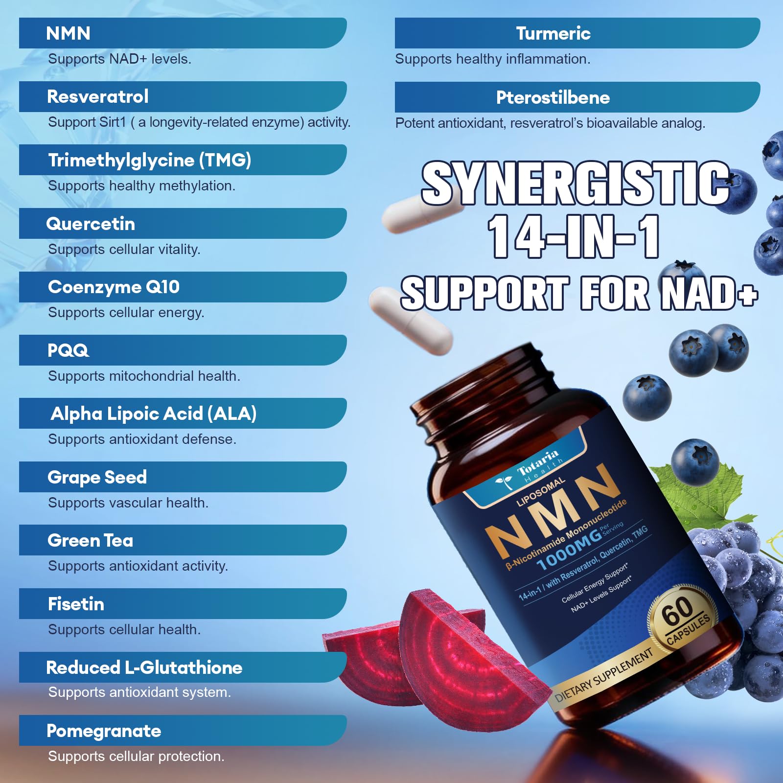 Totaria coq10-tmg-quercetin-blend demonstrates antioxidant support and metabolic balance.