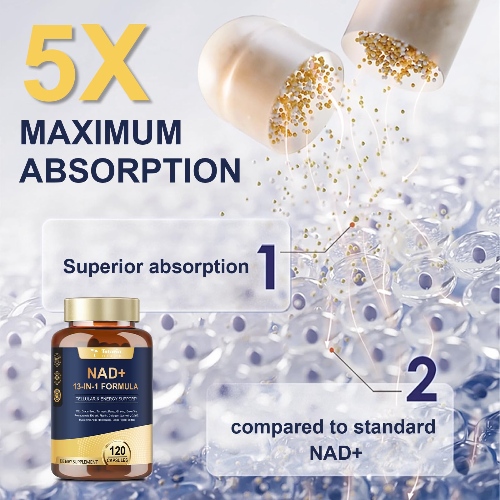 Totaria NAD ingredients blend graphic showing natural extracts