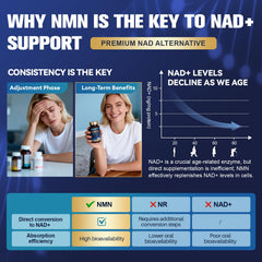 Totaria vegan non-GMO stamp reinforces clean, filler-free NAD supplement.