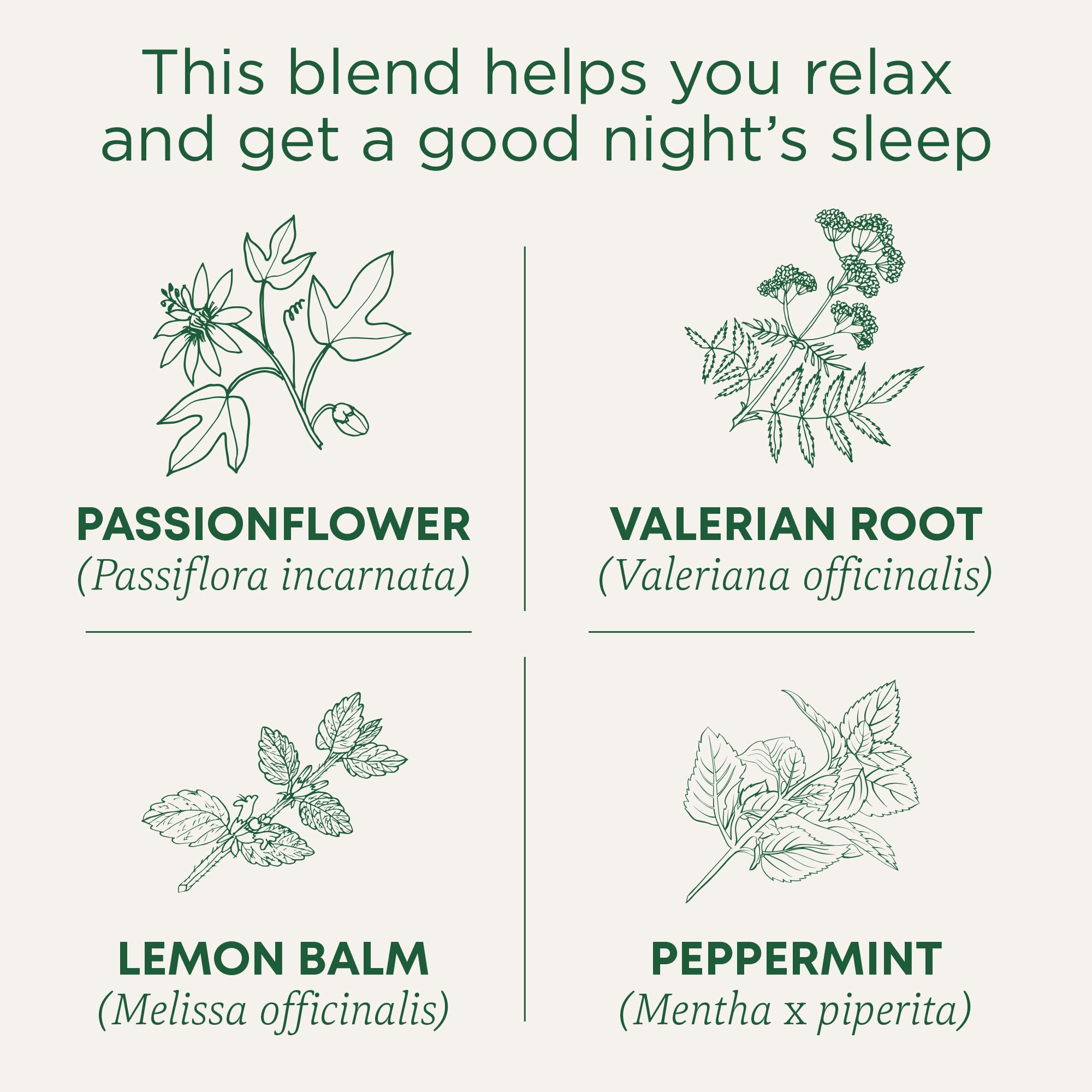 Close-up of valerian leaves in Traditional Medicinals Nighty Night Extra blend.