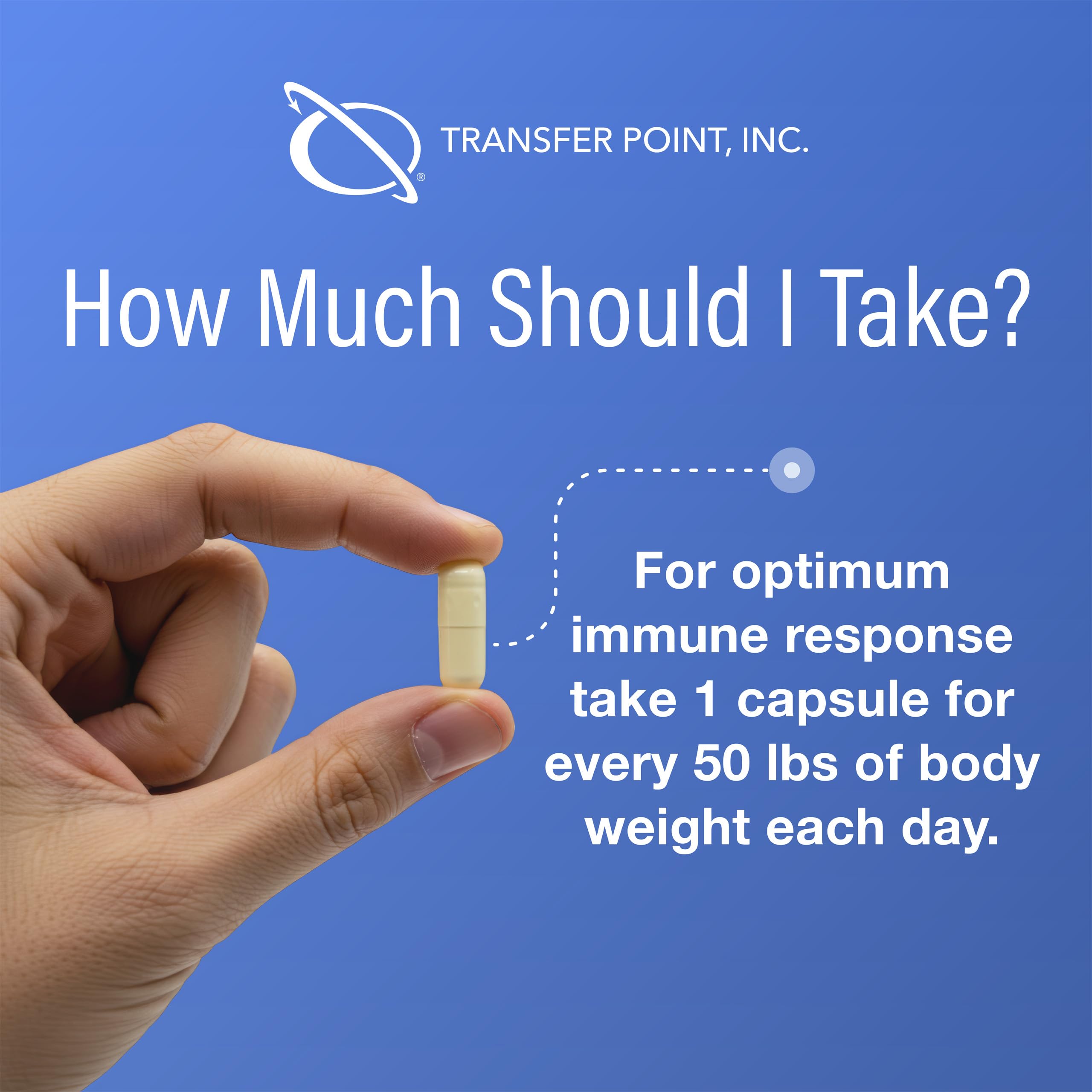 Transfer Point two pack front view highlights convenient supply for ongoing support