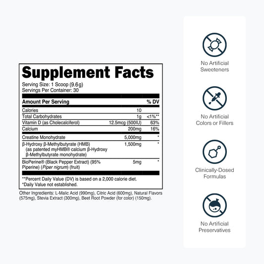 Transparent Labs Creatine HMB powder scoop demonstrates convenient serving.