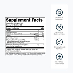 Transparent Labs Creatine HMB powder scoop demonstrates convenient serving.