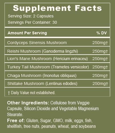 Tree of Life Botanicals Immunity capsules close-up promotes energy and focus.
