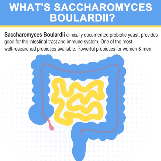 Trehealtt Saccharomyces boulardii capsules closeup show acid-resistant delivery for stomach resilience.