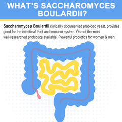 Trehealtt Saccharomyces boulardii capsules closeup show acid-resistant delivery for stomach resilience.