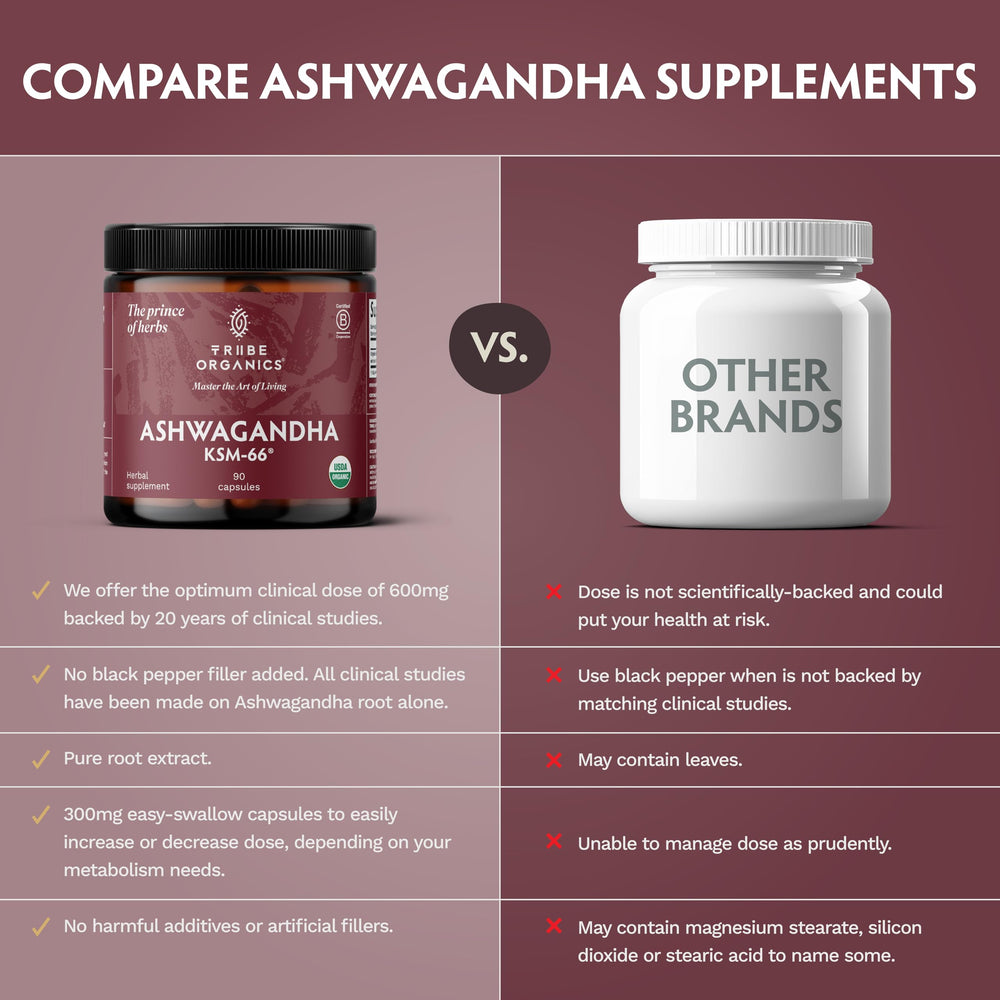 TRIBE ORGANICS energy-focused capsules suggesting daily stamina support