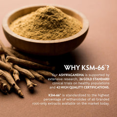 TRIBE ORGANICS Ashwagandha powder in smoothie for daily energy.