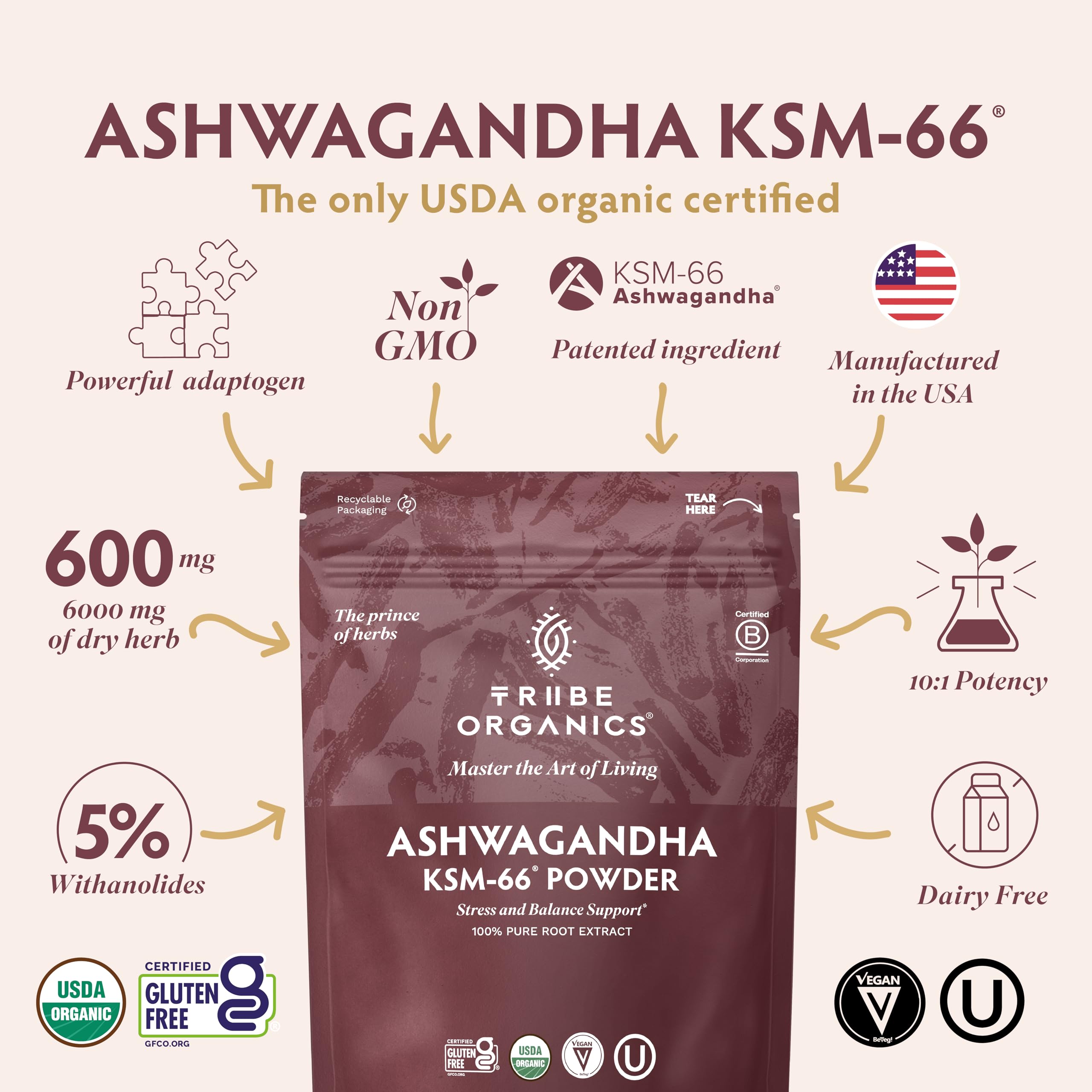 TRIBE ORGANICS KSM-66 Ashwagandha powder scoop for easy daily dosing.