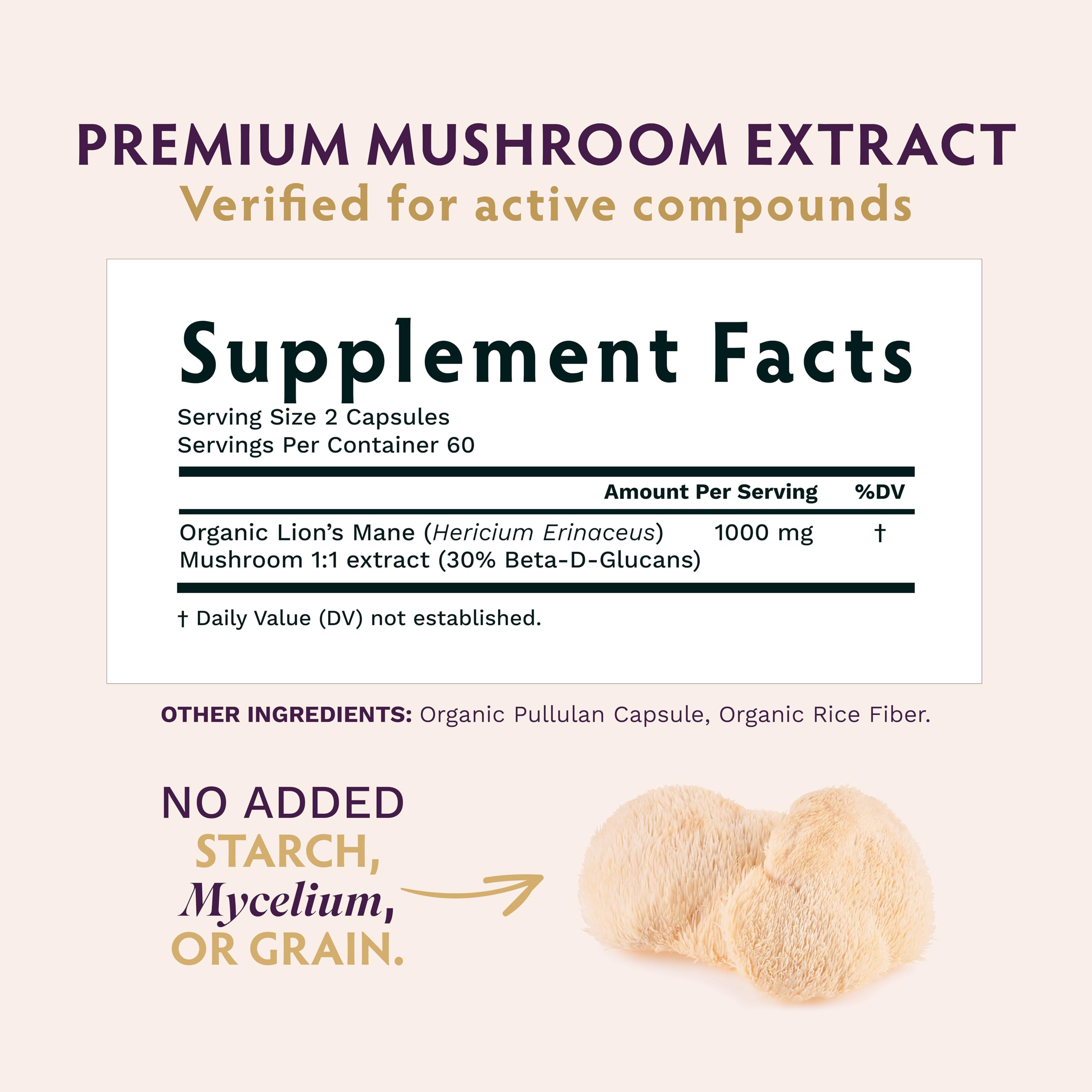TRIBE ORGANICS Lion’s Mane capsules ready for daily use and cognitive support.