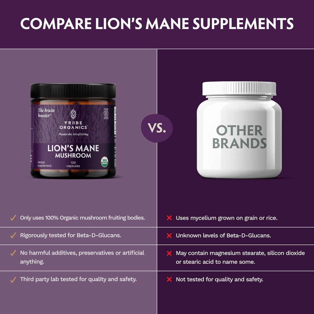 TRIBE ORGANICS Lion’s Mane packaging emphasizes eco-friendly, GMP quality.