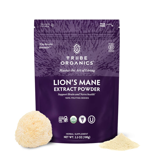 TRIBE ORGANICS Lion’s Mane powder bottle front – premium organic extract for focus