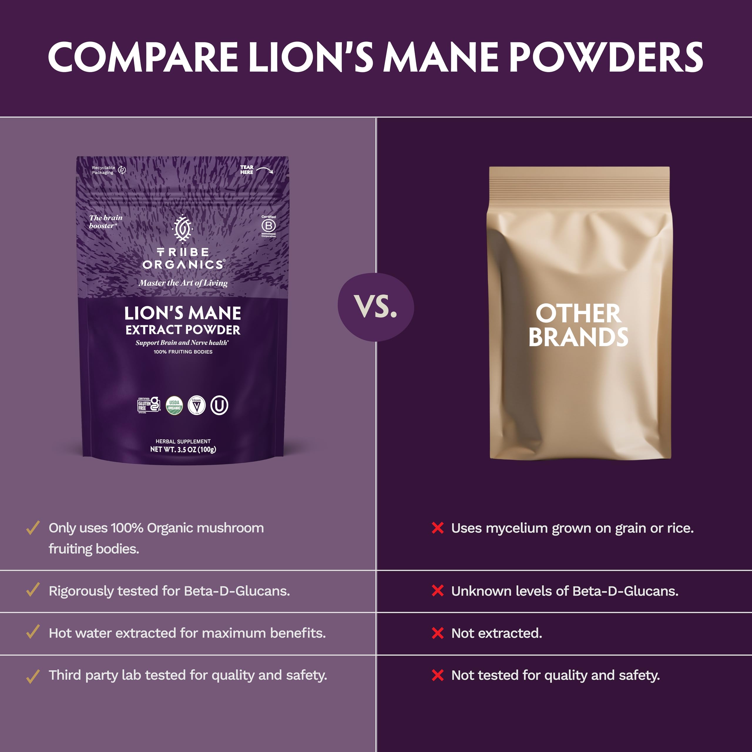 TRIBE ORGANICS Lion’s Mane powder in cup – convenient daily ritual