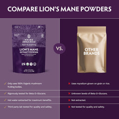 TRIBE ORGANICS Lion’s Mane powder in cup – convenient daily ritual
