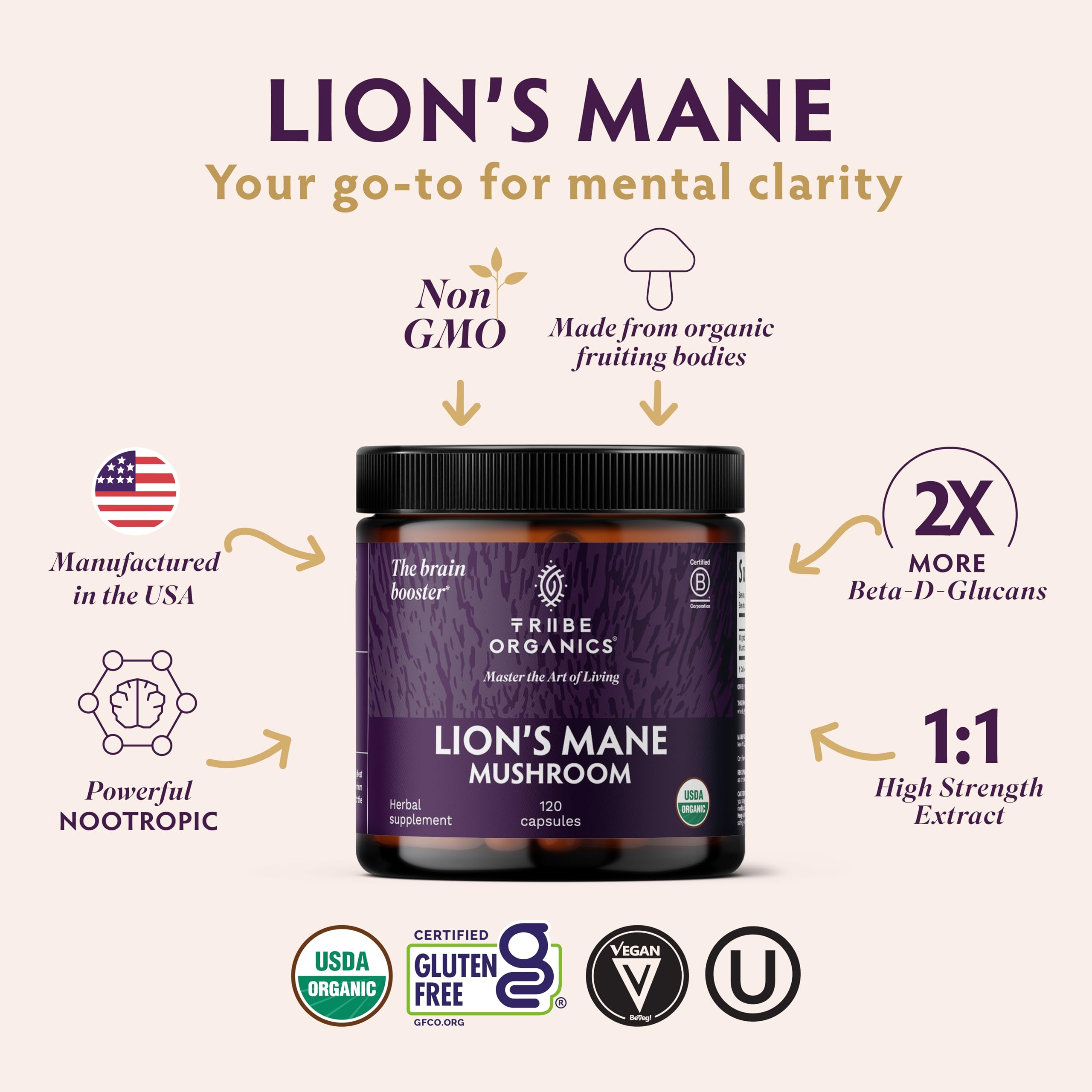 TRIBE ORGANICS Lion’s Mane powder scoop promoting sustainable energy and focus.