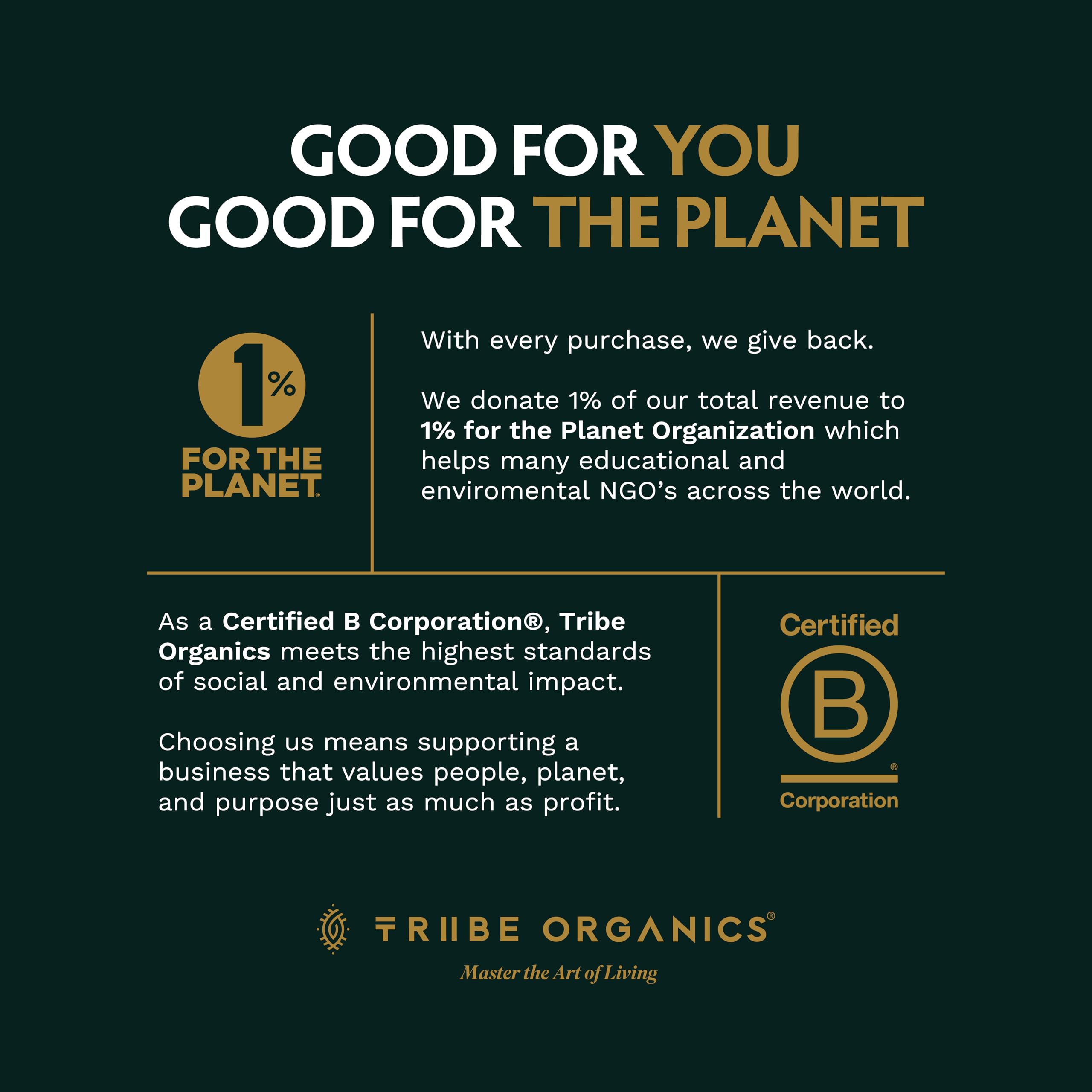TRIBE ORGANICS Moringa Powder USA GMP manufacturing