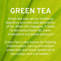 TRIO NUTRITION Capsules in hand show convenient daily dose for metabolism.